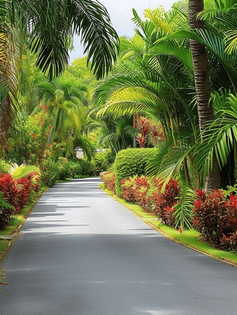 75+ Garden Path Ideas You Have To Check Out Road Landscape Design, Garden Entrance Ideas, Tree In Garden, Beautiful Gardens Landscape, Large Backyard Landscaping, Flower Road, Garden Hedges, Beautiful Home Gardens, Tropical Garden Design