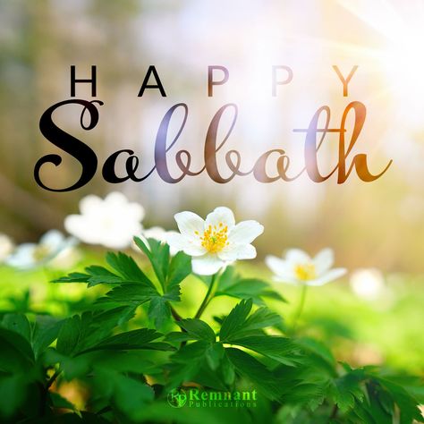 Happy Sabbath! May the attention and beauty that God placed in His creation encourage you with His love today. 🌱 Happy Sabbath Adventist, Happy Sabbath Quotes Beautiful, Blessed Sabbath, Bon Sabbat, Happy Sabbath Quotes, Kindness Lessons, Happy Sabbath Images, Sabbath Quotes, Happy Sabbath