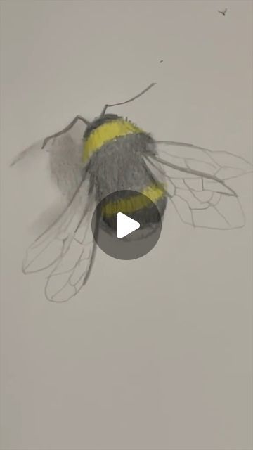 Mark Liam Smith on Instagram: "Draw a bumblebee 🐝 Easy drawing lesson for beginners on how to draw a bee. #drawinglesson #howtodraw" How To Draw A Bee, Bee Drawing Easy, Draw A Bee, Bee Sketch, Bee Drawing, Doll Drawing, Drawing Lesson, Sketches Tutorial, Easy Drawing