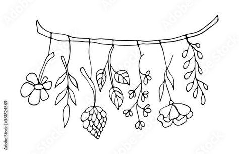 Hanging Light Bulbs, Flowers Vector, Hanging Flowers, Flower Doodles, Bulb Flowers, Hanging Lights, Dried Flowers, Coloring Books, White Background