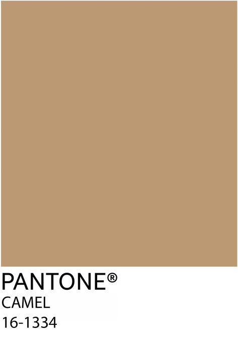 Pantone Brown, Brown Pantone, Pantone Tcx, Pantone Colours, My Color Palette, Pantone Palette, Earthy Color Palette, My Colors, Paint Colour