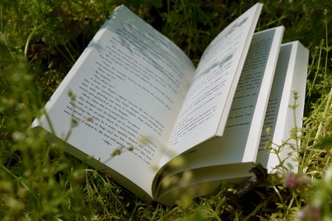 book in the grass at springtime Sitting On The Grass Aesthetic, Reading In A Field, Reading In The Countryside, Book On Grass Aesthetic, Bird Field Journal, Pile Of Books, Horse Books, Plant Aesthetic, Open Book