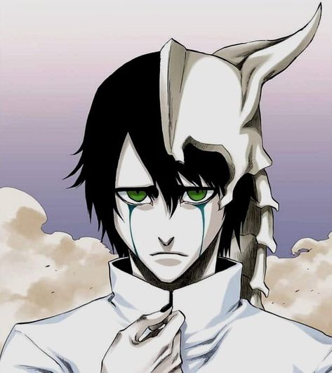 Ulquiorra Cifer Icon, Ulquiorra Schiffer, Ulquiorra And Orihime, Ulquiorra Cifer, Bleach Fanart, Bleach Characters, Bleach Art, Bleach Manga, Bleach Anime