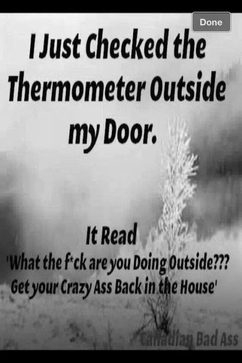 Thermometer outside ... Lol So Cold Humor, Cold Humor, Winter Humor, Hate Winter, I Am Canadian, Minions Funny, It's Cold, Make Me Smile, Dumb And Dumber