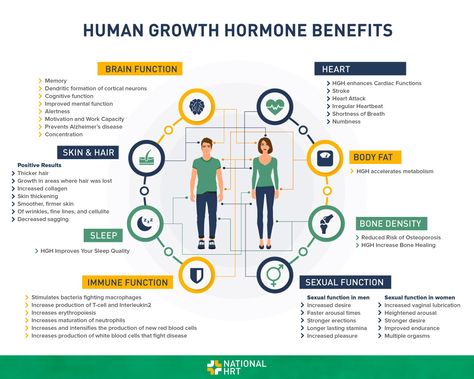 There are many HGH benefits for men and women, and understanding how human growth hormone therapy works in the body can provide further insight into this subject. It will now become possible to see how energy loss, receding hairlines, muscle decline, osteoporosis, memory lapses, and low libido all have roots in growth hormone deficiency. Hgh Injections, Hormone Supplements, Bone Healing, Human Growth Hormone, Increase Bone Density, High Cholesterol Levels, Heart Function, Julie Andrews, Hormone Levels