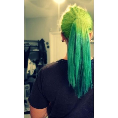 Gallery For > Green Ombre Hair Tumblr ❤ liked on Polyvore featuring hair Green Hair Ponytail, Green Ombre Hair, Ombre Ponytail, Neon Green Hair, Hair In A Ponytail, Hair Tumblr, Hidden Colors, Tumblr Hair, A Ponytail