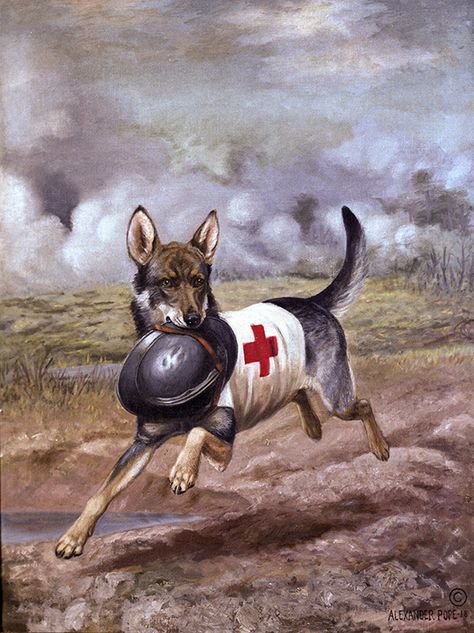 This Alexander Pope painting depicts a World War I Red Cross dog carrying the helmet of a wounded French soldier in the midst of a gas barrage. Goodbye Painting, Vintage Soldier, Wounded Soldier, French Soldier, Alexander Pope, Military Working Dogs, Antique Postcards, Animal Shelters, Military Dogs