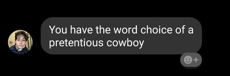 Cowboy Header, Vampire Cowboy, Cowboys Memes, Gay Cowboy, Cowboy Aesthetic, Cowboy Baby, Baby Cowboy, Literally Me, You Funny