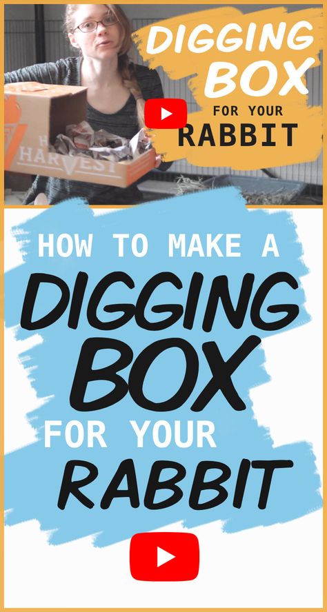 Diy Digging Box For Rabbit, Diy Digging Box For Bunny, Rabbit Dig Box Ideas, Toys For Rabbits Diy, Digging Box For Rabbits, Dig Box For Rabbit, Bunny Dig Box Ideas, Bunny Digging Box Diy, Rabbit Digging Box Ideas