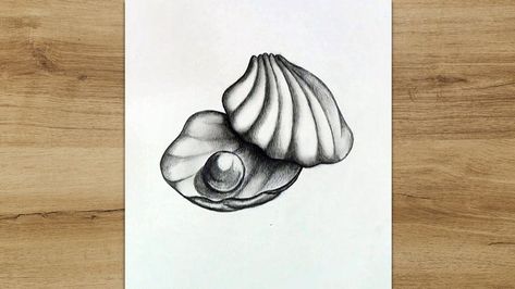 In this tutorial, I want to show you how to draw a seashell with a pencil. #shell_drawing #drawing #sketch #howtodraw Draw A Seashell, Shell Sketch, Pencil Sketch Tutorial, Pencil Drawing Tutorial, Seashell Drawing, Shell Drawing, Pencil Drawing Tutorials, Pencil Shading, Object Drawing