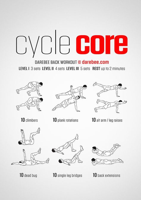 Cycle Core Workout Cycling Training Plan, Lose Your Belly Diet, Cycle Training, Spin Bike, Bicycle Workout, Flatter Stomach, Core Training, Cycling Workout, Free Workouts