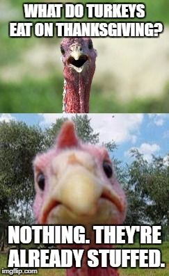 Turkey Meme Generator - Imgflip Funny Turkey Memes, Turkey Meme, Funny Thanksgiving Pictures, Funny Thanksgiving Memes, Boss Series, Thanksgiving Pictures, Turkey Time, Thanksgiving Images, Funny Turkey