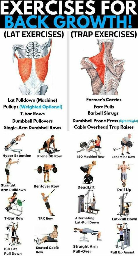 Some exercises for back growth Exercises For Back, Traps Workout, Fitness Studio Training, Gym Antrenmanları, Weight Training Workouts, Workout Chart, Back And Biceps, Back Muscles, Gym Workout Tips