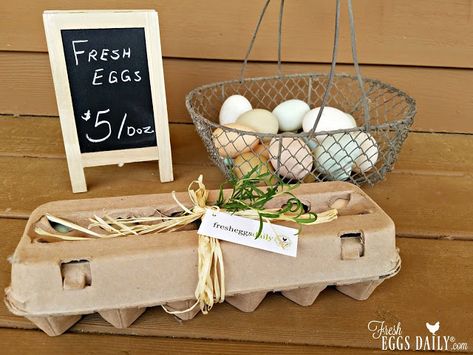 Egg Business, Chickens Backyard Breeds, Selling Eggs, Coop Decor, Farmers Market Stand, Best Egg Laying Chickens, Work Grind, Easy Egg Recipes, Egg Packaging