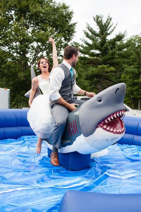 Shark Wedding, Mechanical Shark, Shark Week Party, Shark Themed Party, Nh Wedding, Small Shark, Shark Bait, Shark Themed, Shark Lover