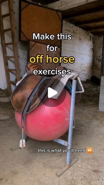 Horse Workout, Mane Braids, Equestrian Tips, Equestrian Fitness, Horse Mane Braids, Horse Hacks, Riding Ideas, Horse Education, Working Equitation