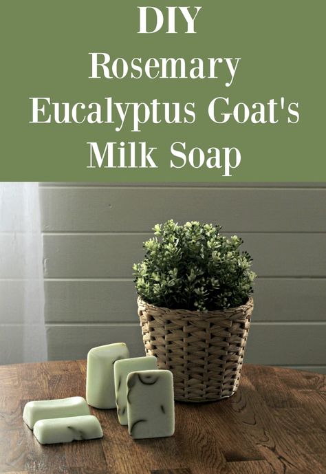 Fresh Rosemary Eucalyptus Goat's Milk Soap Rosemary Soap, Goat Milk Soap Recipe, Milk Soap Recipe, Eucalyptus Soap, Goat Milk Recipes, Easy Soap Recipes, Soap Making Recipes, Fresh Eucalyptus, Diy Skin Care Recipes