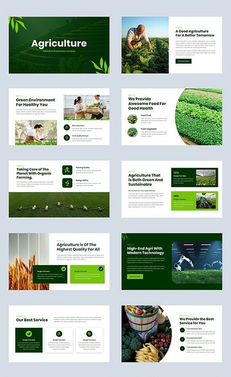 This Presentation Template can be used for any variety of purposes, such as: Farm, Agriculture, Botanical, Minimal Business, Corporate and Business, Medical, Technology, Biology, Creative, Company Profile, Portfolio, Project, Multipurpose, Pitch Deck, Industry and also can be used for Personal Portfolio. Agriculture Presentation Design, Agriculture Company Profile, Powerpoint Background Design Agriculture, Agriculture Presentation, Powerpoint Science Presentation, Microbiology Powerpoint Template, Agriculture Powerpoint Template, Powerpoint Templates Biology, Farm Agriculture