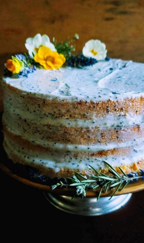 Mascarpone Cake, Rosemary Syrup, Kitchen Witch Recipes, Seed Cake, Honey Cookies, Lavender Rosemary, Sponge Cake, Food Cakes, Learn To Cook