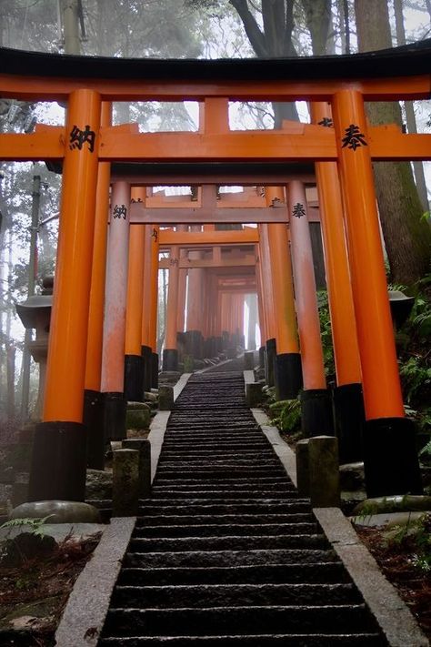 Japanese Shrine Photography, Fushimi Inari Shrine Photography, Japan Temple Aesthetic, Inari Temple, Chinese Shrine, Kyoto Shrine, Shrines In Japan, Japan Shrine, Japanese Shrines