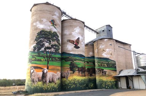 9 amazing ways to use a shipping container Silo Art, Australian Road Trip, Grain Silo, Building Art, Big Art, Water Tower, Street Artists, Australia Travel, South Wales