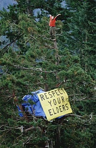 Julia Butterfly Hill - Respect your Elders Julia Butterfly, Notting Hill Quotes, Astrud Gilberto, Respect Your Elders, Environmental Activist, Redwood Tree, Tree Hugger, Woodstock, A Tree