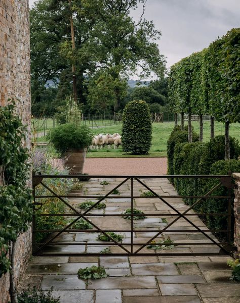 Deck Gate Ideas, Main Gate Designs, Deck Gate, Hornbeam Hedge, Designs Aesthetic, Home Entrances, Tall Shrubs, Modern Gate, Gate Designs