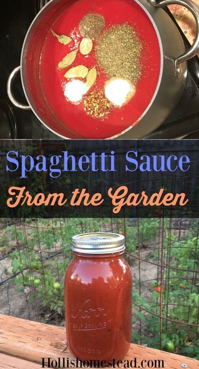 Canning Tomatoes Recipes, Canned Spaghetti Sauce, Pressure Canning Recipes, Fresh Tomato Recipes, Home Canning Recipes, Pasta Sauce Homemade, Canning Vegetables, Spaghetti Sauce Recipe, Homemade Spaghetti Sauce