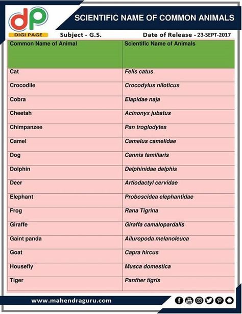 DP |Scientific Name Of Common Animal | 23 - 09 - 2017  http://www.mahendraguru.com/2017/09/dp-scientific-name-of-common-animal-23.html Scientific Name Of Animals, Children's Day Message, Neet Biology, Learn Biology, Study Biology, Radha Painting, Study Flashcards, Biology Lessons, Science Notes