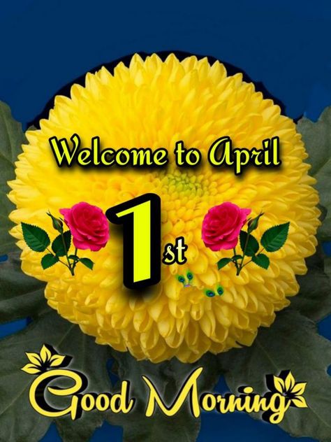 1st April Good Morning, Good Morning April 1st, April Good Morning, Welcome September, Good Morning Happy Saturday, 1st April, Good Morning Flowers Gif, Good Morning Cards, Happy Friendship