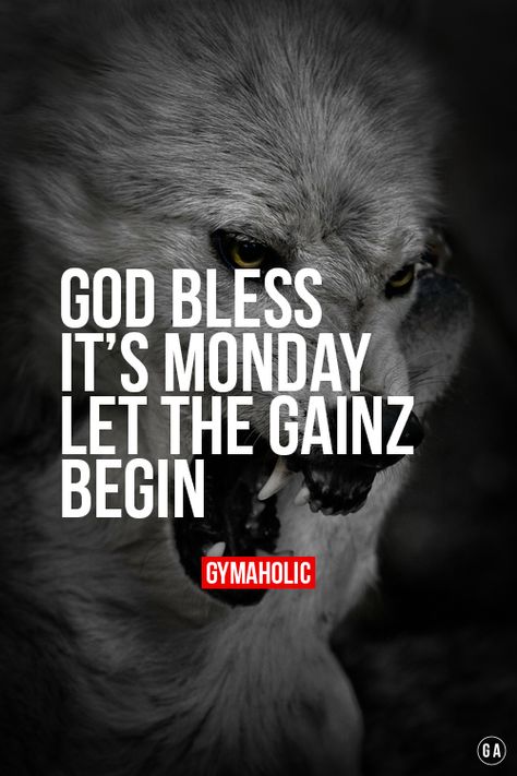 God Bless It Monday Brr Let the gainz begin! http://www.gymaholic.co/ #fit #fitness #fitblr #fitspo #motivation #gym #gymaholic #workouts #nutrition #supplements #muscles #healthy Gainz Quotes, Back Day Quotes Gym, I Work Out Because Quotes Gym, Why I Go To The Gym Quotes, Gym Gains Quotes, Gym Obsession Quotes, Gym Humour, Lion Quotes, Four Letter Words