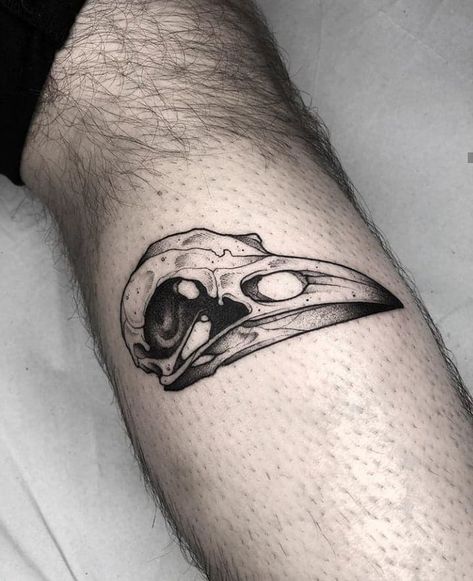 Traditional Bird Skull Tattoo, Jawbone Tattoo, Crow Skull Tattoo, Raven Skull Tattoo, Bird Skull Tattoo, Seagull Tattoo, Bird Skulls, Think Tattoo, Mushroom Tattoos