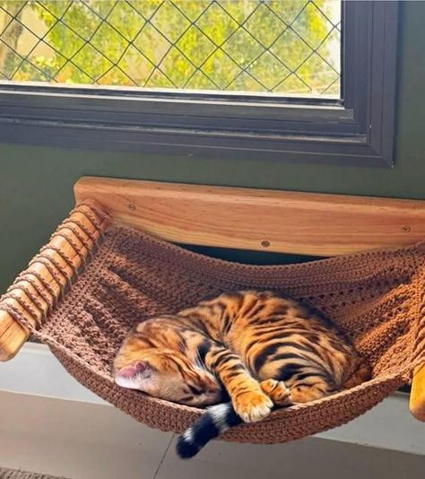 Cat Things Products, Aesthetic Cat Stuff, Cat Hangout, Crochet Cat Hammock, Cat Interior Design, Cat Hammock Diy, Cat Hammock Crochet, Diy Cat Stuff, Elevated Cat Bed