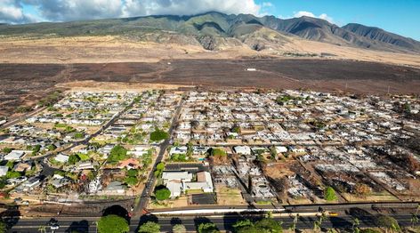 2 Temporary Group Housing Sites To Be Built In Lahaina For Maui Fire Survivors Maui Fire, Group Housing, Hawaiian Homes, Temporary Housing, West Maui, Residential Development, Army Corps Of Engineers, Prefabricated Houses, Civic Center