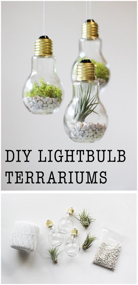 DIY Lightbulb Terrariums | 17 Easy DIY Home Decor Craft Projects Lightbulb Terrarium, Easy Diy Home Decor, Home Decor Craft, Diy Simple, Lightbulbs, Diy Art Projects, Diy Home Decor Easy, Diy Planters, Decor Guide