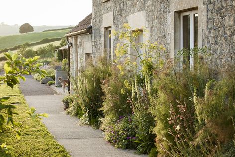 Dan Pearson Garden, Rural Garden, Hillside Farms, Dan Pearson, Planting Combinations, Hillside Garden, Simple Garden, Country Gardens, Garden Posts