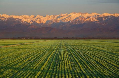 This week is #NationalFarmCityWeek! Bennett & Bennett Irrigation has been a proud member of the Central Valley farming community for 85 years. We salute the families and individuals in our area and farm cities everywhere, for their continuing commitment to agriculture. Central Valley California, Visalia California, Tulare County, San Joaquin Valley, Sierra Nevada Mountains, Central California, Moving To California, Sequoia National Park, Central Valley