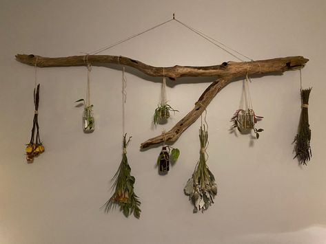 Tree Branch Decor Diy, Branch Diy, Hanging Plants Diy, Roses Lavender, Tree Branch Decor, Diy Gifts To Make, Branches Diy, Plants Diy, Diy Bird Bath