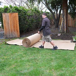 Zero Scape, Lawn Replacement, Sheet Mulching, Grass Alternative, Lawn Ideas, Lawn Alternatives, Cleaning Painted Walls, Front Yard Ideas, Deep Cleaning Tips