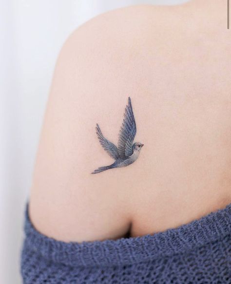 지향 (@ww.lizzy) • Instagram photos and videos Stage Tattoo, Blue Bird Tattoo, Tattoo Ideas For Females, Aesthetic Tattoo Ideas, Tiny Bird Tattoos, Bluebird Tattoo, Bird Tattoos For Women, Tattoo Logo, Hummingbird Tattoo