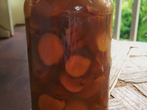 Photo: Pitcher of Turmeric Tincture Turmeric Tincture, Ginger Tincture, Fermented Herbs, Cider Recipes, Detox Pills, Medicine Recipes, Medical Tips, Fermented Veggies, Medicinal Tea