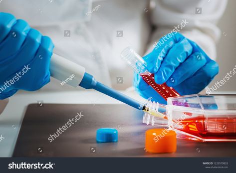 Biotechnology engineer inspecting cell culture flask #Ad , #SPONSORED, #inspecting#engineer#Biotechnology#flask Cell Culture Lab, Cell Culture, Cell Biology, Biotechnology, Line Icon, Icon Illustration, Biology, Flask, Lab