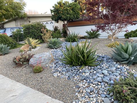 Simple Desert Front Yard Landscaping, Rock Xeriscape Front Yard, Desert Style Landscaping Front Yards, Front Yard Landscaping Ideas With Rocks Drought Tolerant, Rock Scaping Ideas, Gravel And Succulent Front Yard, Rock And Agave Landscaping, Arizona Rock Landscaping, Middle Of The Yard Landscaping