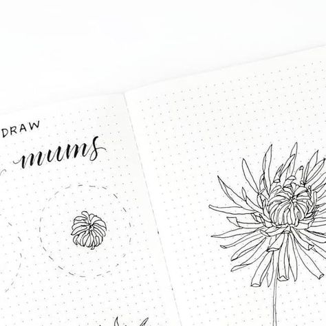 Liz • Bullet Journal on Instagram: "🌼FLORAL TUTORIAL CHALLENGE WEEK 3: SPIDER MUMS🌼 . . Isa and I are back with the third and final week of the #floraltutorialchallenge ... this week's flower, the spider mum, was the central flower used at my wedding, so it's extra special to me❤. You all have been submitting the most beautiful drawings and paintings the for the last two challenges and I know this week will be no different! . . HOW TO ENTER: 1. Draw a spider mum, using any medium, by following one or both of our tutorials or by using your own technique. 2. Upload your drawing to Instagram no later than next Friday. 3. Tag both @poppyandgrayco and @bonjournal_ in the post (not just comments) and use #floraltutorialchallenge 4. Be sure you're following @poppyandgrayco and @bonjournal_ .