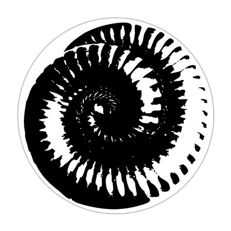 Downward Spiral Tattoo, The Downward Spiral Nine Inch Nails, Nin Tattoo Nine Inch Nails, Nine Inch Nails The Downward Spiral, Nine Inch Nails Tattoo, Nin Tattoo, Spiral Image, Weird Interior, The Downward Spiral