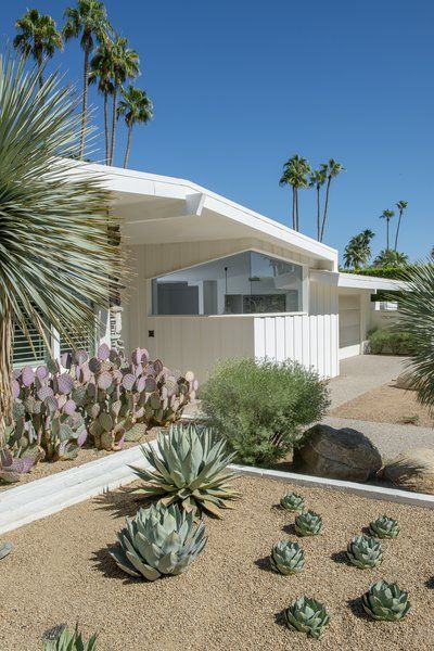 Photo 1 of 13 in A Palm Springs Alexander Home with Mountain Views Lists for $1.9M - Dwell Palm Springs Front Yard, Palm Springs Landscaping, Palm Springs Garden, Native Landscaping, Courtyard Plants, Oasis Springs, Southwest Landscape, Wood Siding Exterior, Palm Springs Home