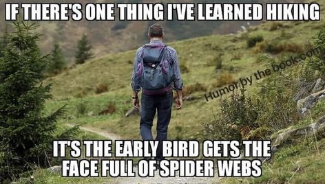 If there's one thing I've learned hiking, it's the early bird gets the face full of spider webs. Hiking Meme, Hiking Humor, Hiking Workout, Hiking Photography, Hiking Pictures, Hiking Quotes, Hiking Women, Nature Quotes, Camping And Hiking