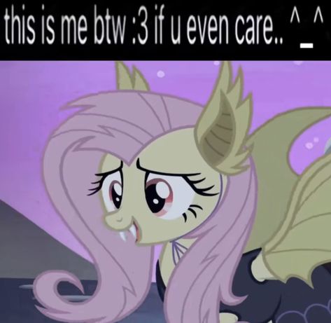 Mlp Vampire, Flutter Shy, Mlp Memes, My Lil Pony, Me Irl, Mlp My Little Pony, Im Going Crazy, Fluttershy, Friendship Is Magic