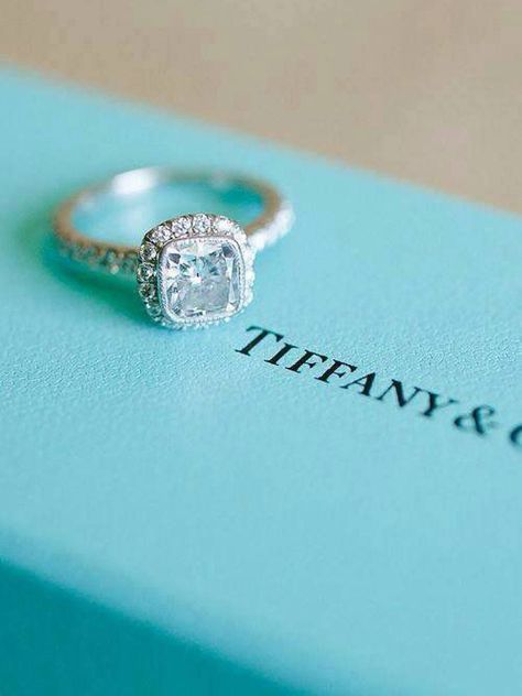 Anel de noivado | Aprenda tudo sobre as gemas da Tiffany                                                                                                                                                                                 Mais Tiffany Wedding Rings, Tiffany Engagement, Tiffany Engagement Ring, Wedding Rings Princess Cut, Cool Wedding Rings, Beautiful Wedding Rings, Blue Book, Cushion Cut Engagement Ring, Wedding Rings Solitaire