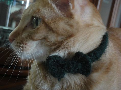 Crochet Kitty Bowtie Collar • Free tutorial with pictures on how to make a pet collar/leash in under 20 minutes Crochet Cat Collar, Crochet Bow Ties, Crochet Kitty, Cat Tie, Crochet Cat Hat, Luxury Dog Collars, Crochet Dog Patterns, Cat Allergies, Dog Collar Bows